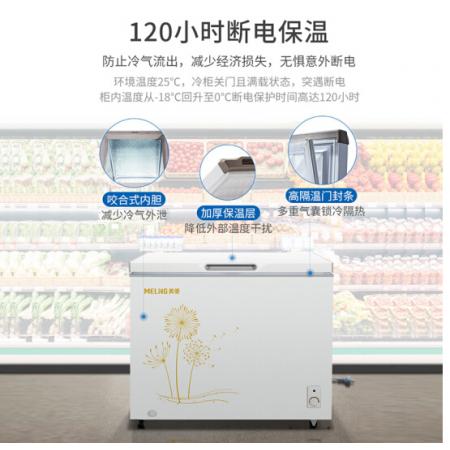 美菱(MELING)300升 冰柜 冷藏冷冻单温转换冷柜 一级能效 大冷冻卧式变温 BC/BD-300DT