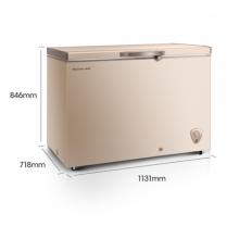 海信 (Hisense) 308升一级能效商用冰柜冷柜节能冰箱金色BD/BC-308NUD