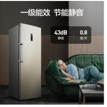 容声(Ronshen) 252升 风冷无霜冰柜 立式冷冻柜  电脑控温 一级能效BD-252WY