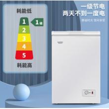 澳柯玛(AUCMA) 100升冷藏冷冻转换冰柜 迷你小冷柜 BC/BD-100H(NE)