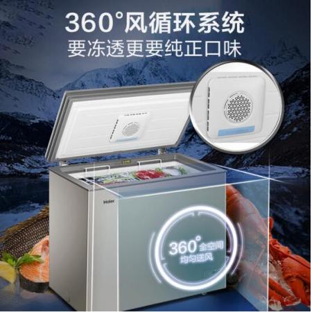 海尔（Haier）200升-40℃细胞级冷冻柜低霜冰柜 冷藏冷冻转换小冷柜BC/BD-200HET
