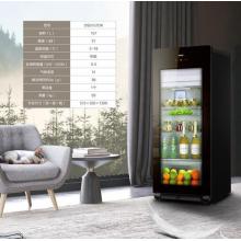 海尔（Haier）157升智能双温可制冰办公室冰吧 茶叶饮料水果冷藏保鲜柜小型冷柜DS0157DK