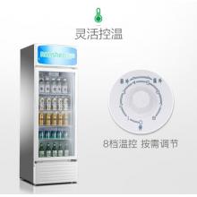 容声(Ronshen) 320升 商用展示柜 立式冷藏 大容量饮料柜 玻璃单门陈列柜SC-320LC