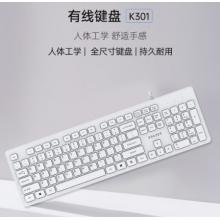 联想（Lenovo）异能者 有线键盘 K301 键盘 有线 商务办公键盘 全尺寸键盘 即插即用 笔记本电脑键盘【白色】