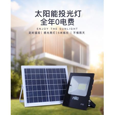 雷士（NVC）雷士照明室外路灯太阳能灯家用庭院灯高亮LED投光灯防水室外围墙灯 特惠款【光控+遥控功能】20瓦