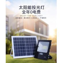 雷士（NVC）雷士照明室外路灯太阳能灯家用庭院灯高亮LED投光灯防水室外围墙灯 特惠款【光控+遥控功能】20瓦