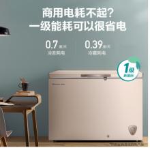 海信 (Hisense) 308升一级能效商用冰柜冷柜节能冰箱金色BD/BC-308NUD
