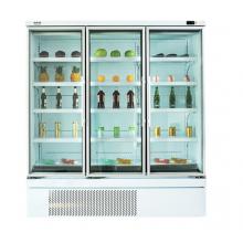 美菱（MELING）1.8米大容量冷冻冰柜 商用无霜风冷立式饮料冷柜 速冻雪柜MLDS-1.8Y76HR