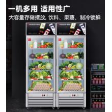 德玛仕 DEMASHI 水果蔬菜保鲜柜  五层328L省电款 LG-388A