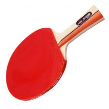 乒乓球拍（红双喜）