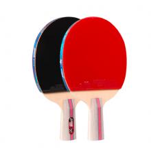 红双喜DHS三星直拍乒乓球拍对拍套装五层底板ITTF认证胶皮H3006双拍附球包乒乓球