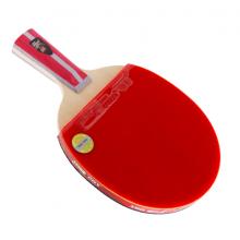 红双喜DHS四星直拍双面反胶乒乓球拍单拍成品拍H4006