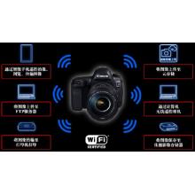 佳能（Canon）EOS 5D Mark IV 5D4 单反相机 全画幅（ EF 24-105mm f/4L IS II USM 单反镜头 含CF卡、相机包、三脚架、UV镜、电池）