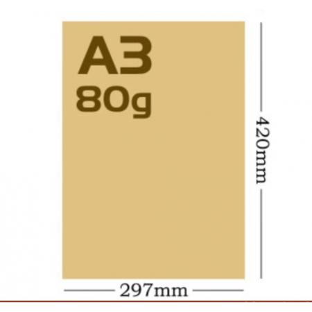 科朗鑫盛全开大张牛皮纸卡  A3 牛皮纸 80g 50张