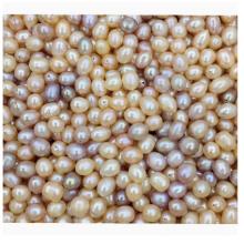 珍珠散珠	白色一两50克0.9孔