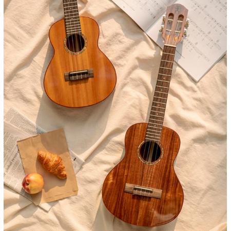 彩虹人（aNueNue）ukulele尤克里里初学者乌克丽丽小吉他 23英寸B2桃花芯木