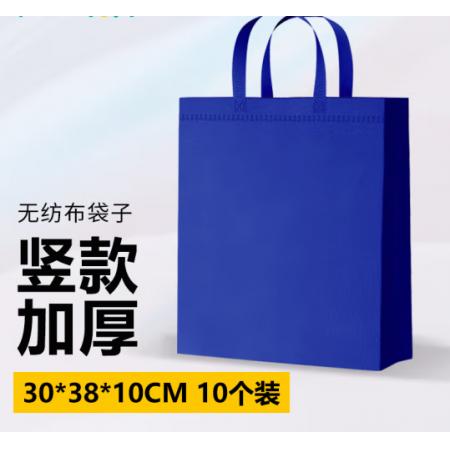 环保袋	蓝色定制logo（宽30 ，高40，侧10cc）