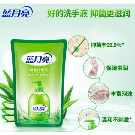 洗手液	蓝月亮  500gx6袋/箱