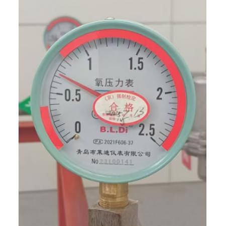 氧压力表布莱迪 2.5MP YO-100