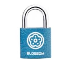  梅花（BLOSSOM）抽屉锁挂锁工具箱室内小锁宿舍柜子门锁电表箱锁BC2925蓝25MM
