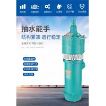 水泵 上海人民 多级潜水泵220V  50QD 2.2KW 48m 10m³ 220V