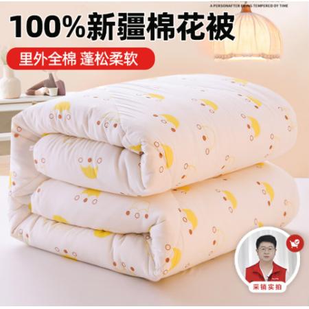 南极人 1级优质新疆棉4.5斤