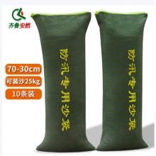 齐鲁安然 帆布沙袋拉链款  不含沙	30*70cm/10个/包