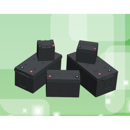 西恩迪  C&D12-65LBT  蓄电池