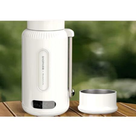 豹牌（BAOPAI）电热壶BP-9821 1L 800W