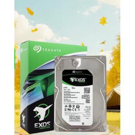 10T企业级存储硬盘	希捷ST10000NM017B