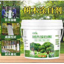 树木涂白剂（杀菌防虫）20斤