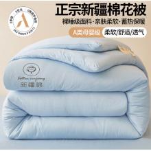 红豆A类纯棉全棉被子被芯新疆棉花被家用宿舍单人双人加厚冬被春秋被 天蓝【真A类-棉花填充】 1.5x2.0m冬被【约5斤】