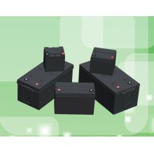 西恩迪  C&D12-65LBT  蓄电池