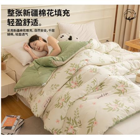 大豆棉春秋被芯150*200单人被子