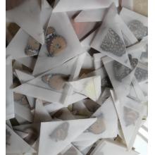 蝴蝶标本	未展翅10个/包