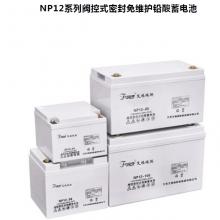 艾福瑞斯 FORS 12V100AH 阀控式密封免维护铅酸蓄电池