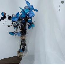 纱幔	白色3米长*1.7米宽