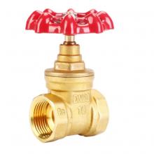 埃美柯  铜闸阀	DN40