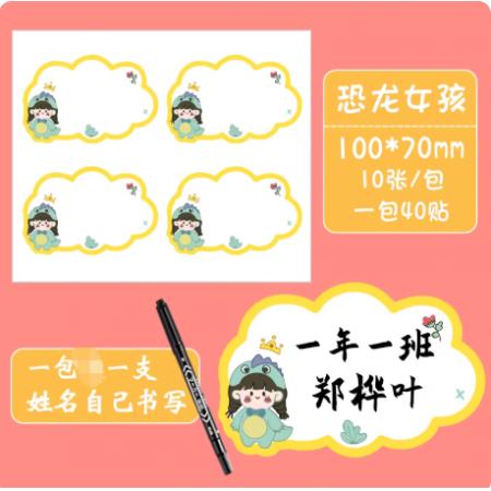 姓名贴	国产	100*70恐龙女孩10张/包