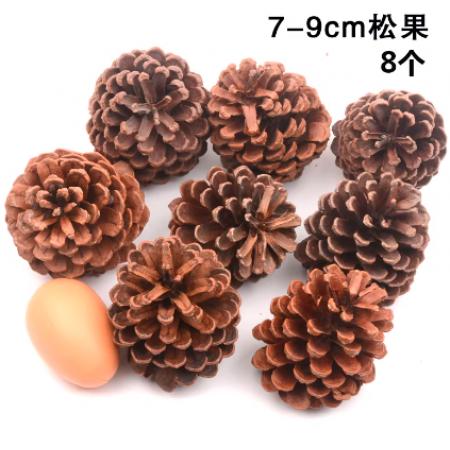 手工材料	天然松果7-9cm8个