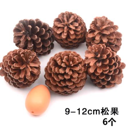 手工材料	天然松果9-12cm6个