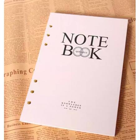 勤得利活页芯A5B5笔记本记事本活页替芯6孔活页芯活页纸80g道林纸 中号A5六孔芯10本价格