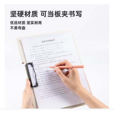 文件夹得力 PE109-J5（5只装）