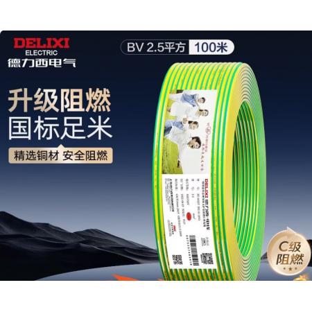 德力西（DELIXI）电线电缆ZC-BV2.5平方阻燃单芯单股家用铜芯电线100米黄绿地线