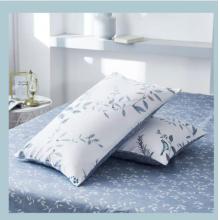 博洋 床单三件套 （1.8米床 230cm*245cm）