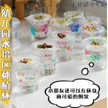 水培杯	国产	600ML+杯盖