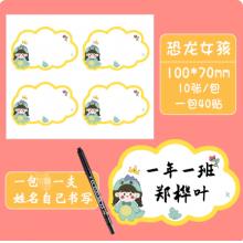 姓名贴	国产	100*70恐龙女孩10张/包