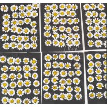 DIY手工干花	洋甘菊100朵1-2cm