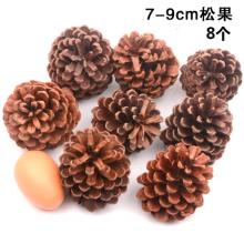 手工材料	天然松果7-9cm8个