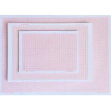 网格纸	A4（20张）17*25cm